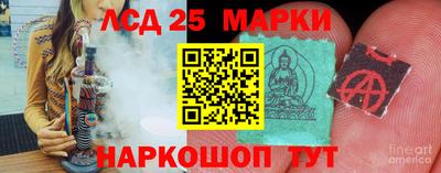 шишки Абакан