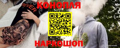 шишки Абакан