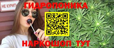 шишки Абакан