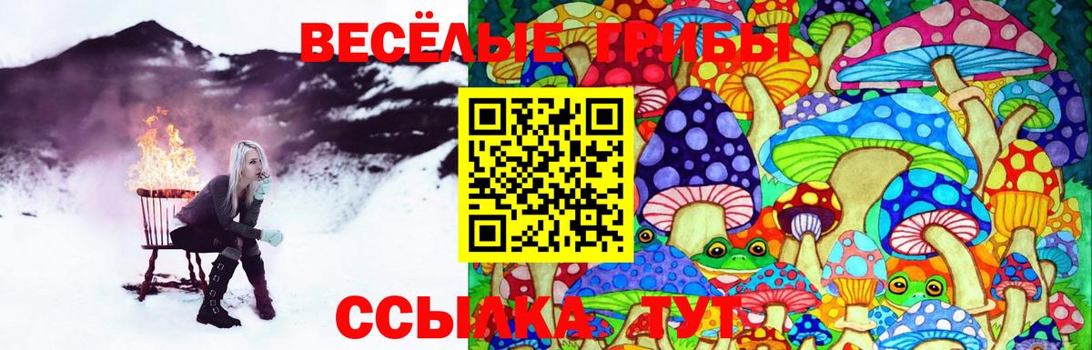 Галлюциногенные грибы Psilocybe  наркотики  Касимов  Вход с VPN 